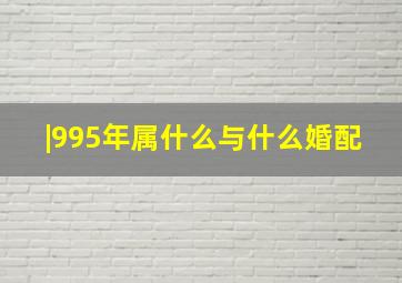 |995年属什么与什么婚配